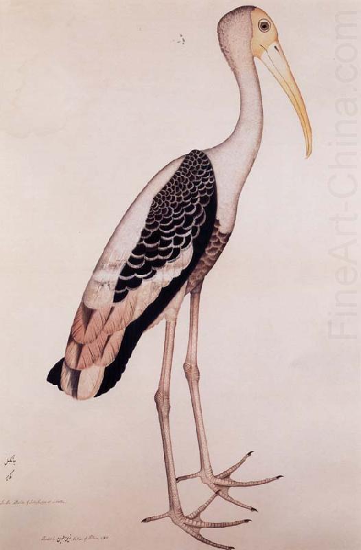 Zayn AL Din A Painted Stork china oil painting image